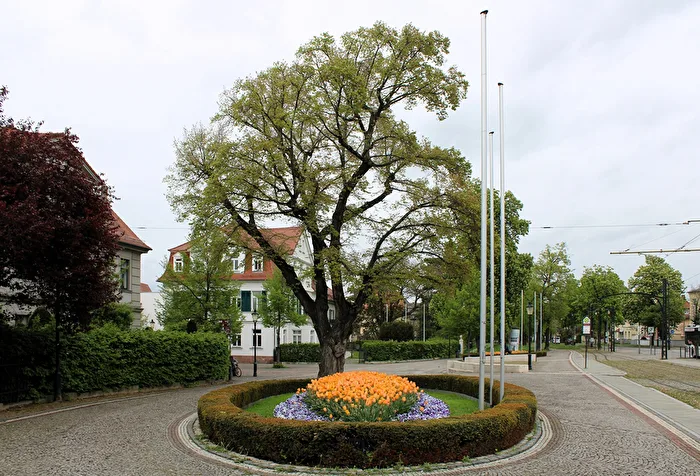 Blumeninsel