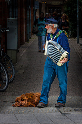 der Hund kennt jeden Ton