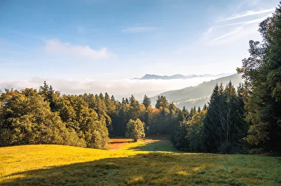 Herbst
