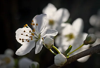 Ein Hauch von Frühling