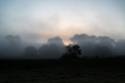 Morgenstimmung an der Ruhr