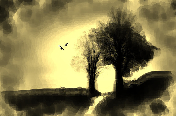 Der Weg ins Licht