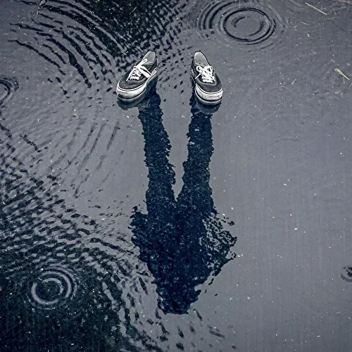 Fotowettbewerb "Schatten"