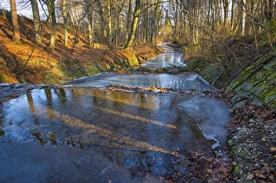 ein wunderbarer Winter-Spaziergang ...