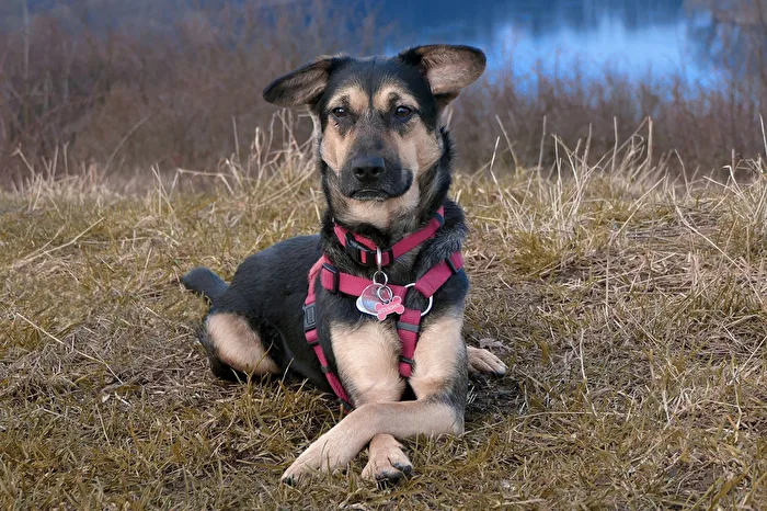Maggie, unsere kleine Diva