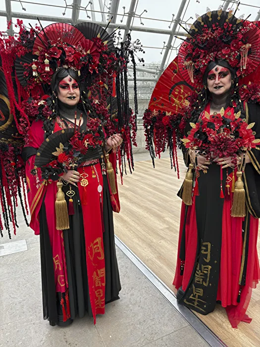 Mangafans