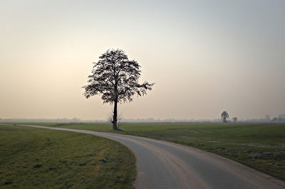 Saharastaub im Norden
