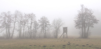 Winternebel