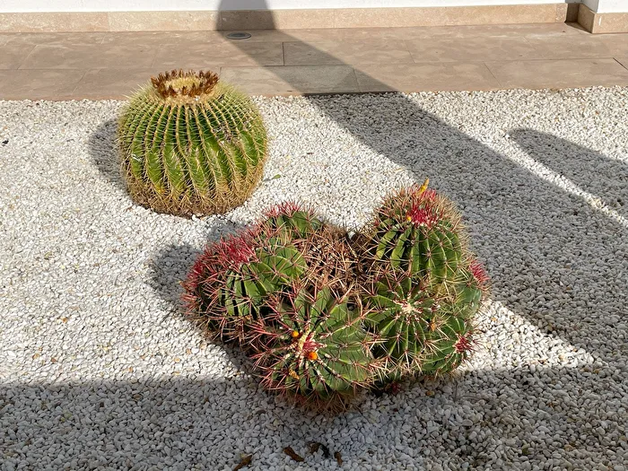 Spiky