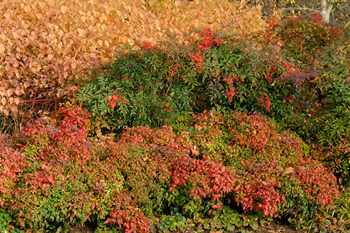 Herbstlich