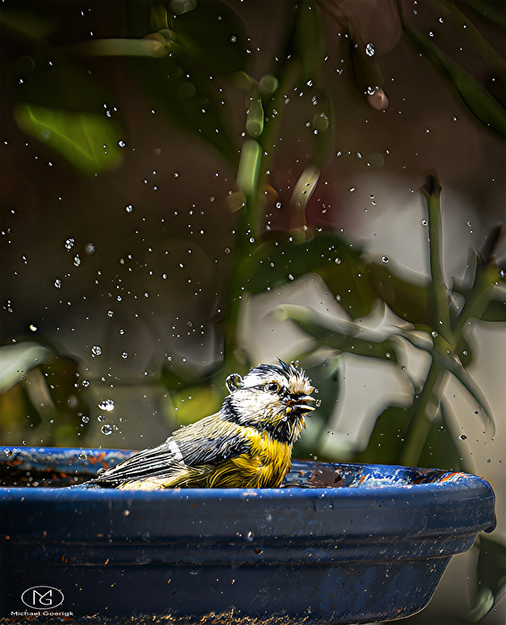 #Wasser - Badetag