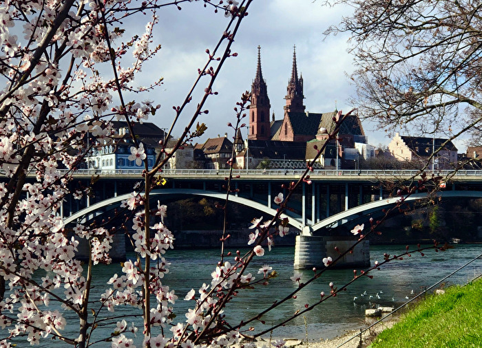 Basel im Frühling