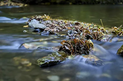 Herbst - An der Schwarza