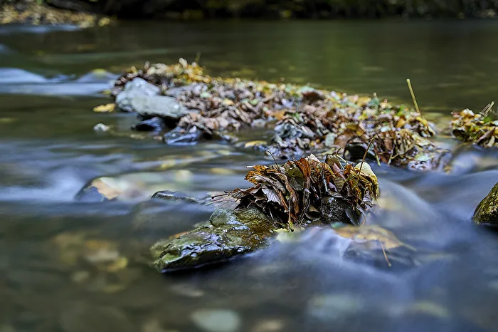 Autumn - On the Schwarza