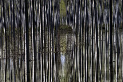 motionblur-test