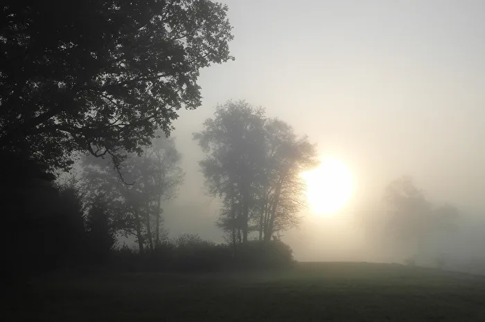 Septembermorgen