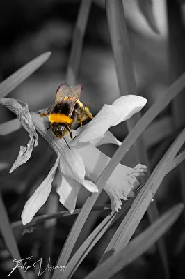 ohne Titel