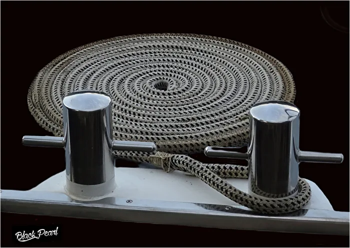 The Black Pearl of Lake Constance