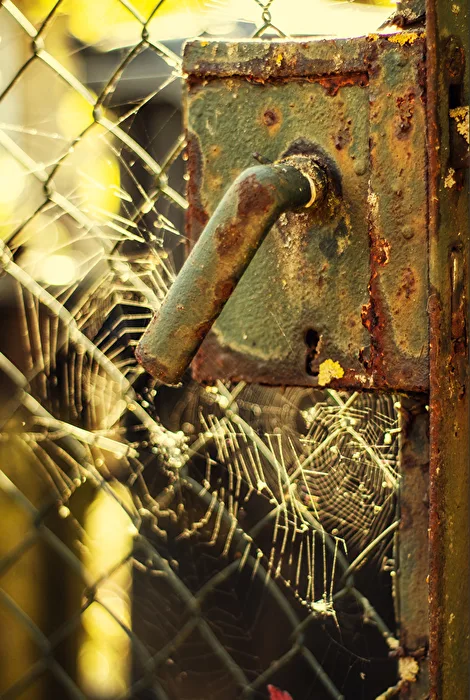 Rust or Patina???