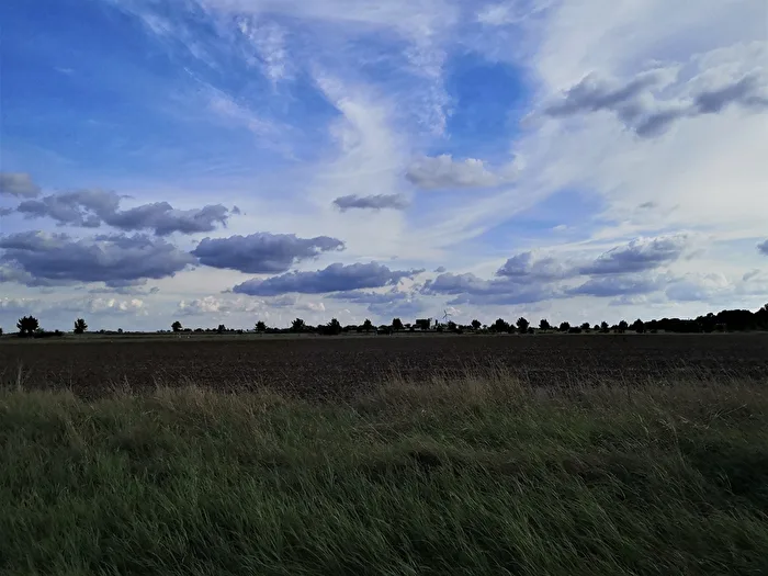 While Passing By