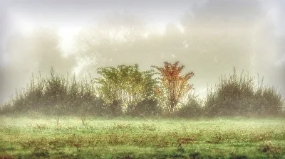 Im Nebel