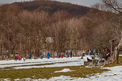 Jänner 2019, Steinhof Wiese rechts hinter der Feuerwache.
