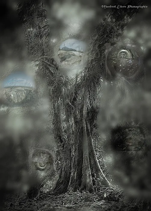 Ghosts