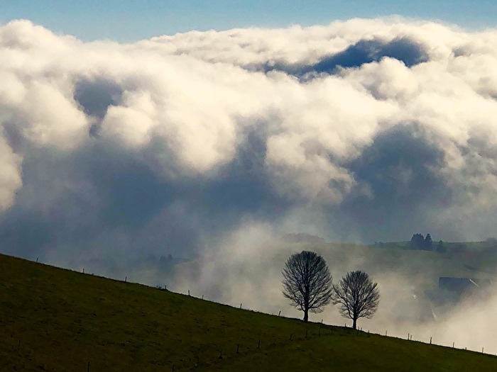 Über den Wolken