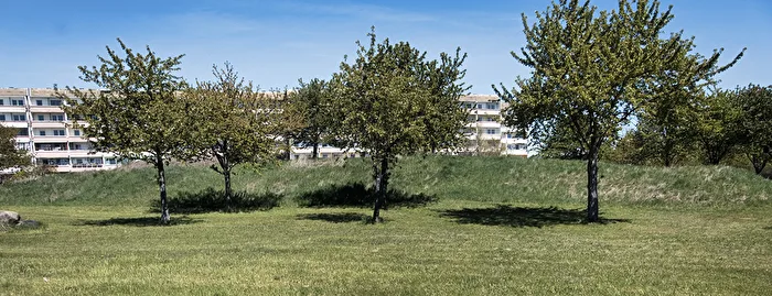 das Grün vor dem Wohnblock