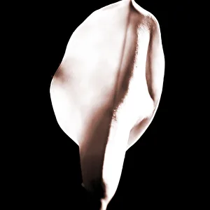 Profilfoto
