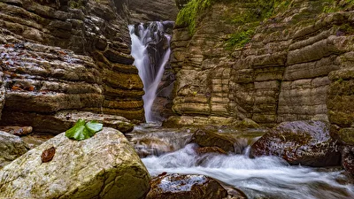 Wildbach