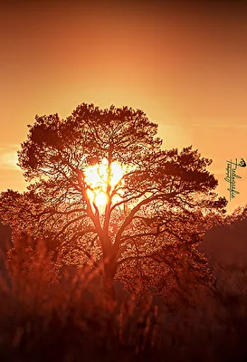 die Sonne geht unter ...