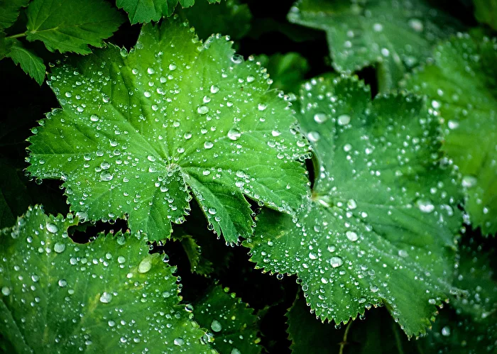 Droplets