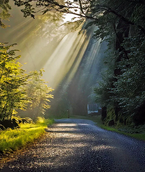 Licht Durchlicht