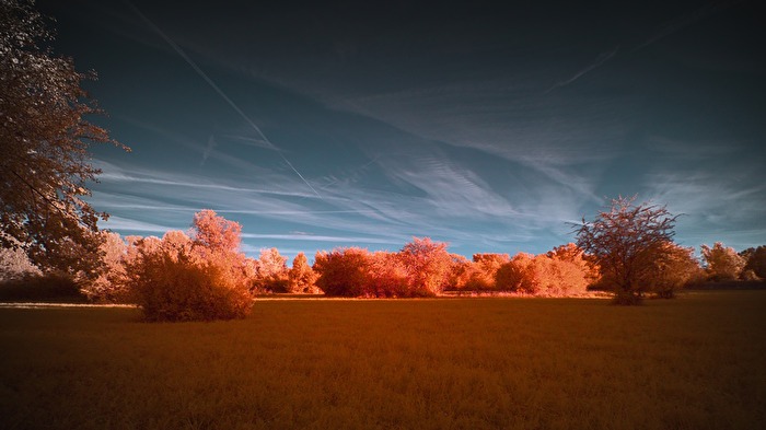 Infrarot - Sommerlandschaft, auf Herbst getunt