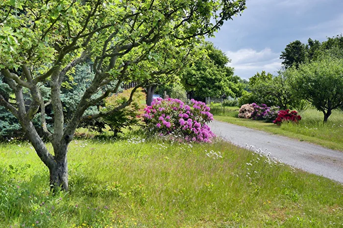 Pfingsten