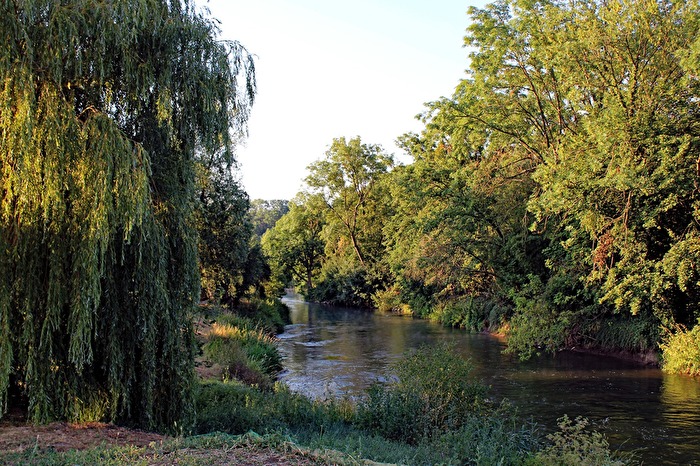 Die Unstrut bei Burgscheidungen