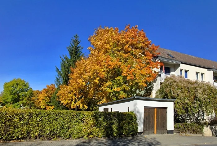 Autumn time