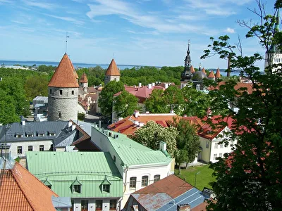Blick über die Dächer der Altstadt von Tallinn