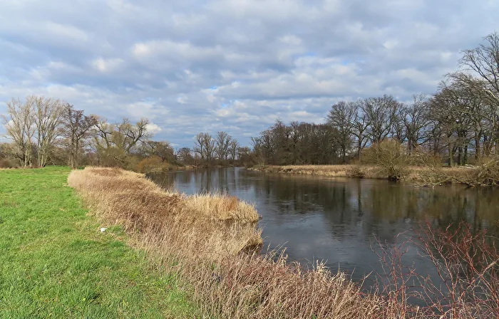 Die Mulde