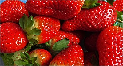 Erdbeere