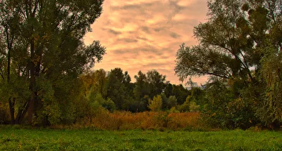 ohne Titel