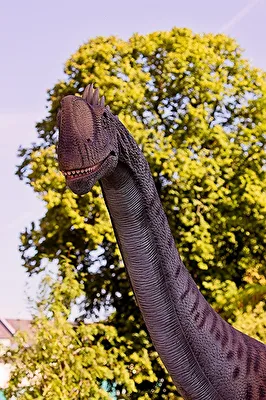 Ene Besoch em Zoo