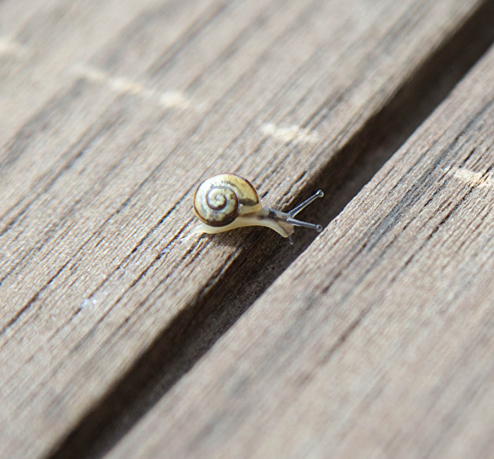 Blick in den Abgrund