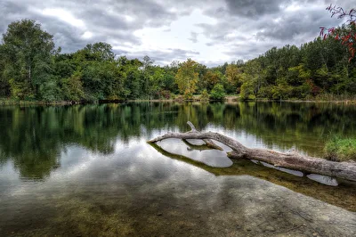Nationalpark Donauauen / Wien