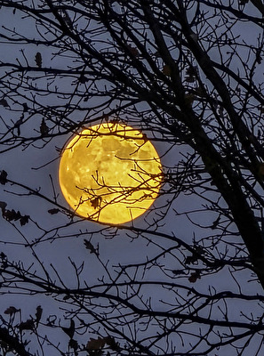 Supermond heute, 04. Dezember 2025