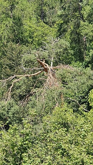Storm damage 4