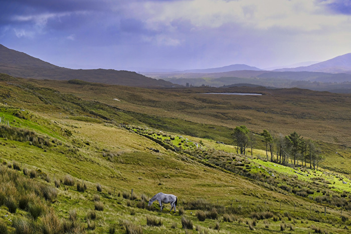 Irland 2