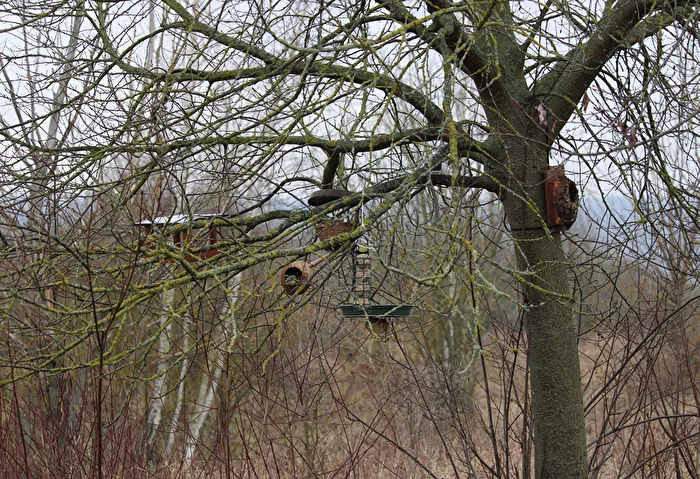 Was vom Naturschutz übrig blieb (3)