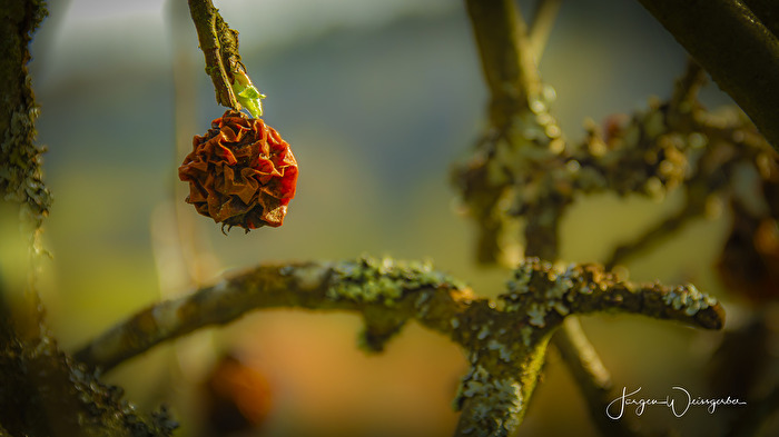 Zu lange abgehangen.....